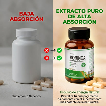Moringa 500 mg - 120 Cápsulas